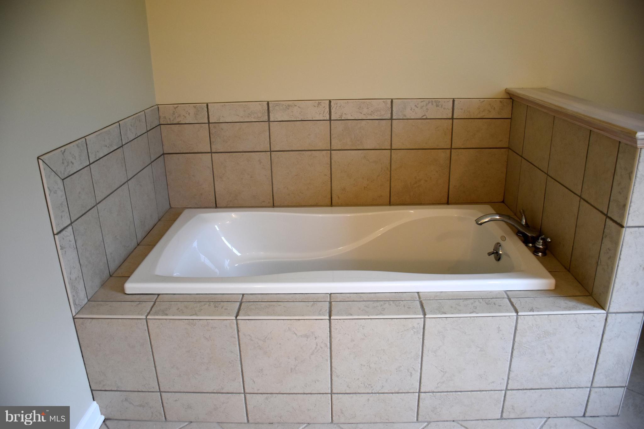 8569 Northbend Road Easton, MD 21601 - Photo 27 of 29 upper level master bath soaking tub