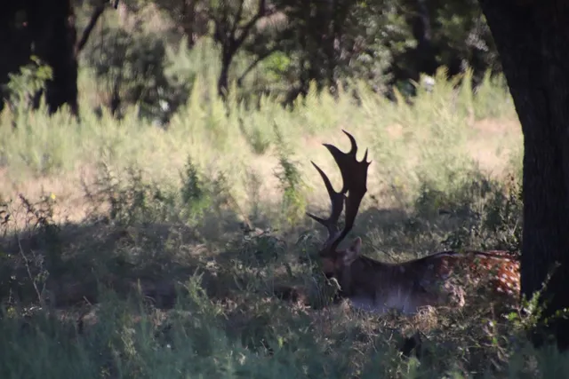 an aerial view of a house with a yard basket ball court and outdoor seating