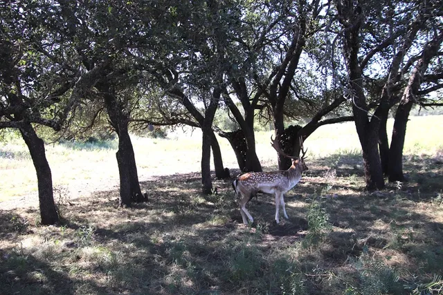 a kitchen with stainless steel appliances a stove a refrigerator and a refrigerator