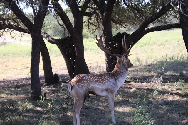 a view of a livingroom with furniture and a flat screen tv