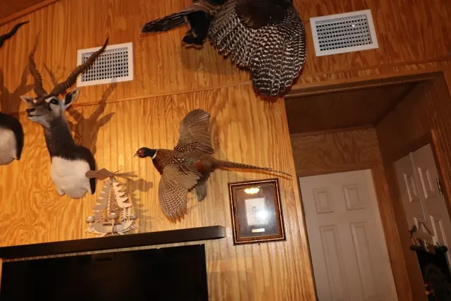 a aerial view of a house with a yard and trees in the background