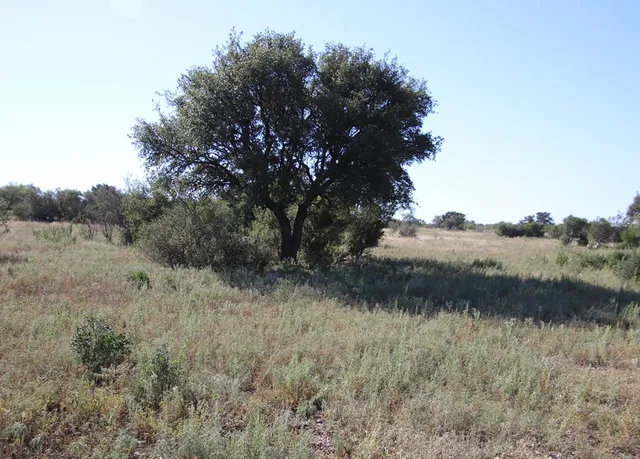 $1,199,000 | 3618 Sd 52100, Rocksprings, TX 78880