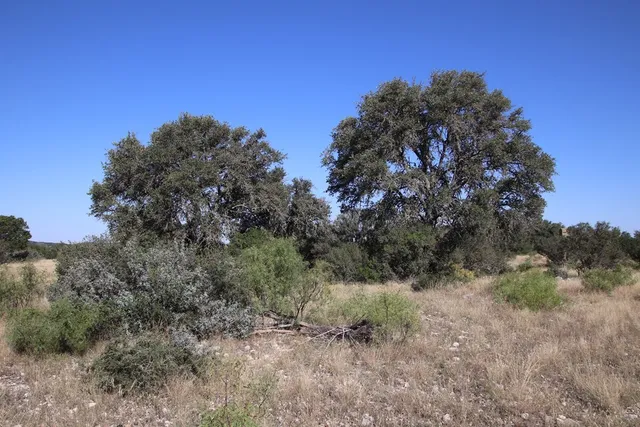 $1,199,000 | 3618 Sd 52100, Rocksprings, TX 78880