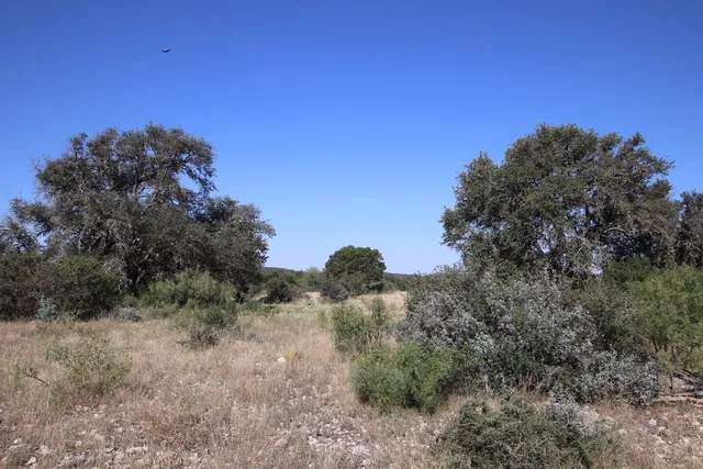 $1,199,000 | 3618 Sd 52100, Rocksprings, TX 78880