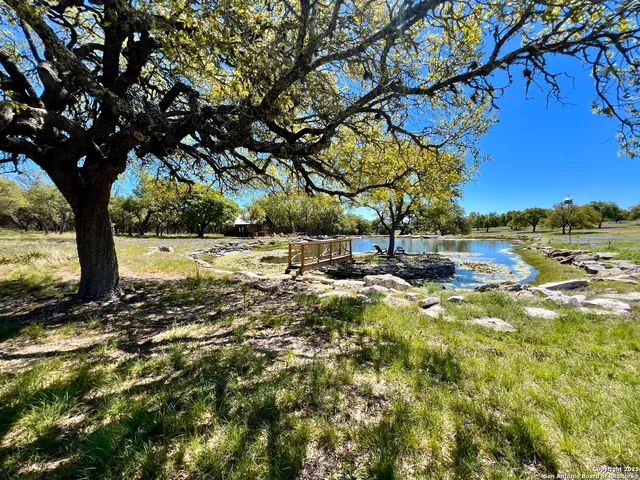 a view of yard with tree
