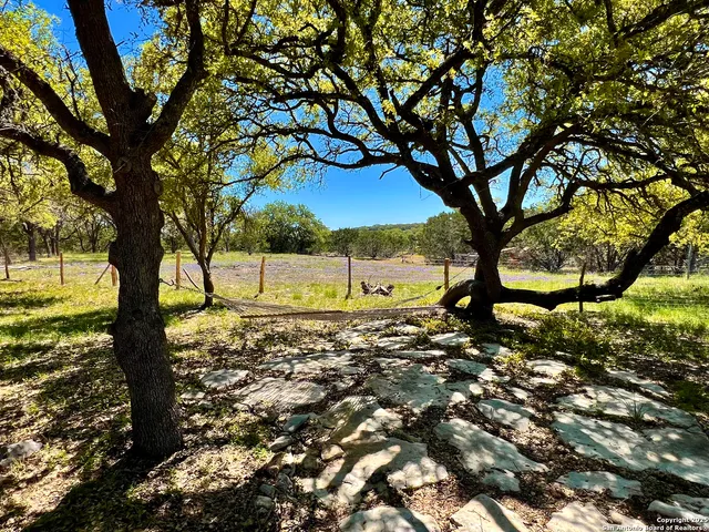 a view of a yard with a tree