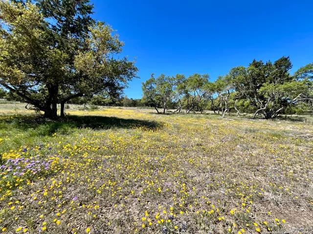 a view of a lake view