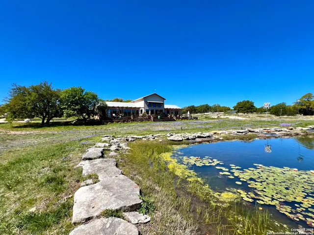 a view of a field with an trees