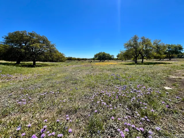 a view of outdoor space