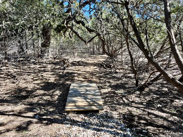 a view of a lake with boats and trees in the background