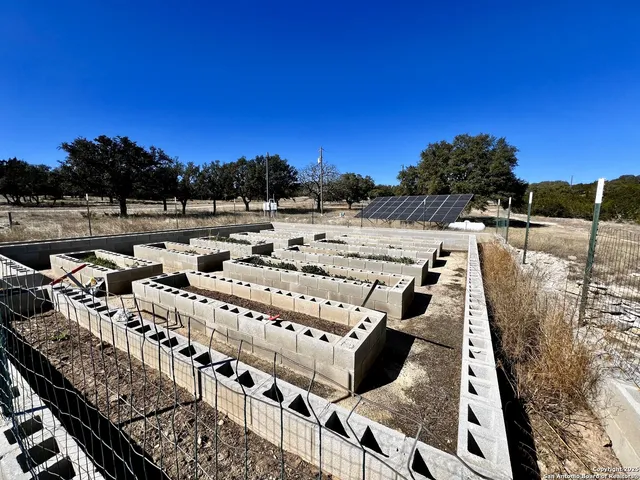 a view of a park with plants and a park