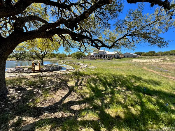 a view of a yard with a tree