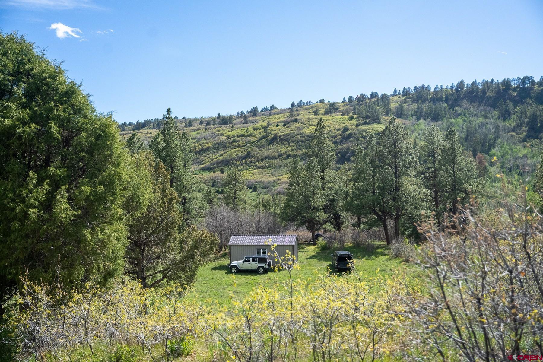 Tract 13-5 M44 Road Placerville, CO 81430 - Photo 8 of 22 Gallery Image 8