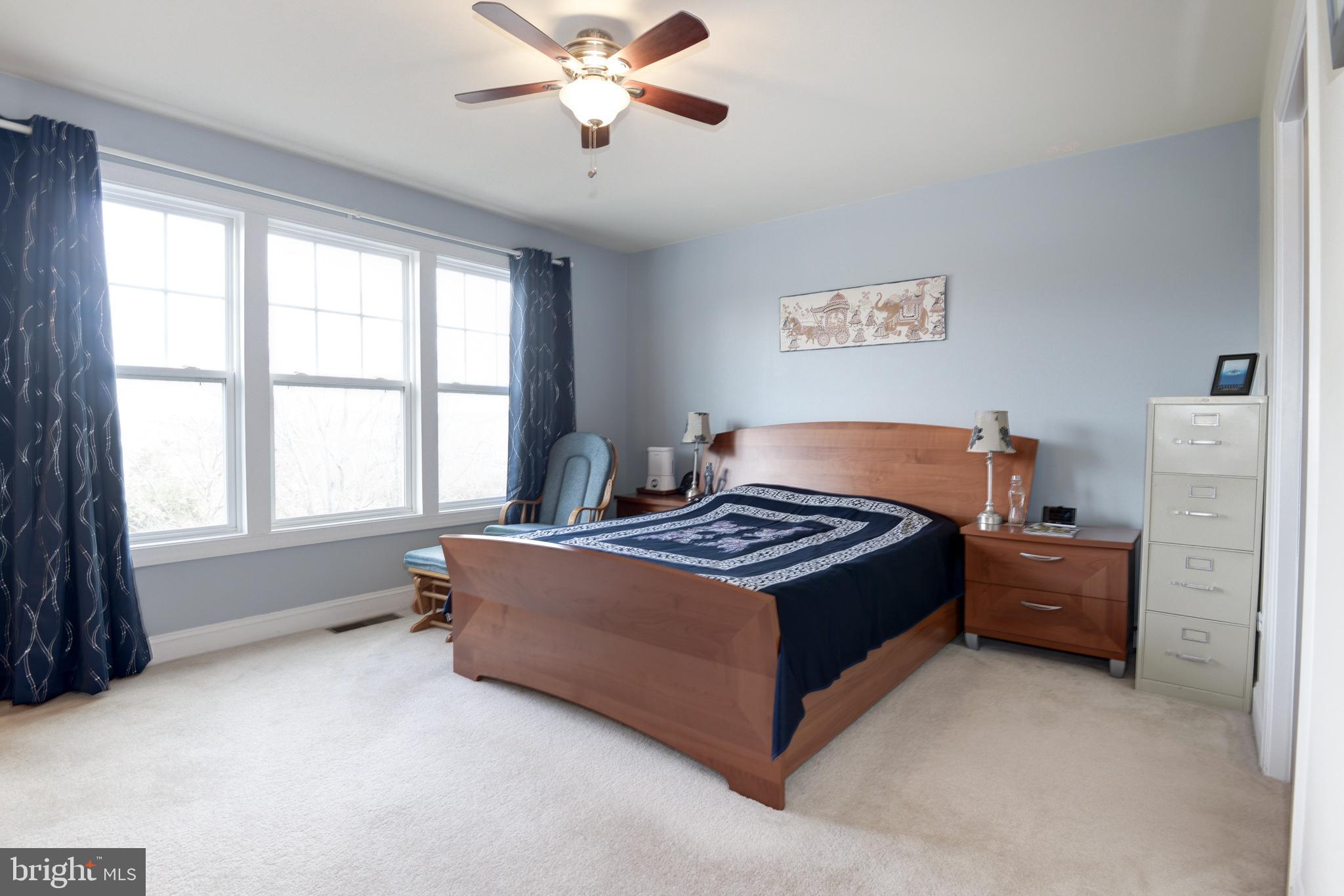 43406 Hopestone Terrace Chantilly, VA 20152 - Photo 13 of 29 Primary Bedroom