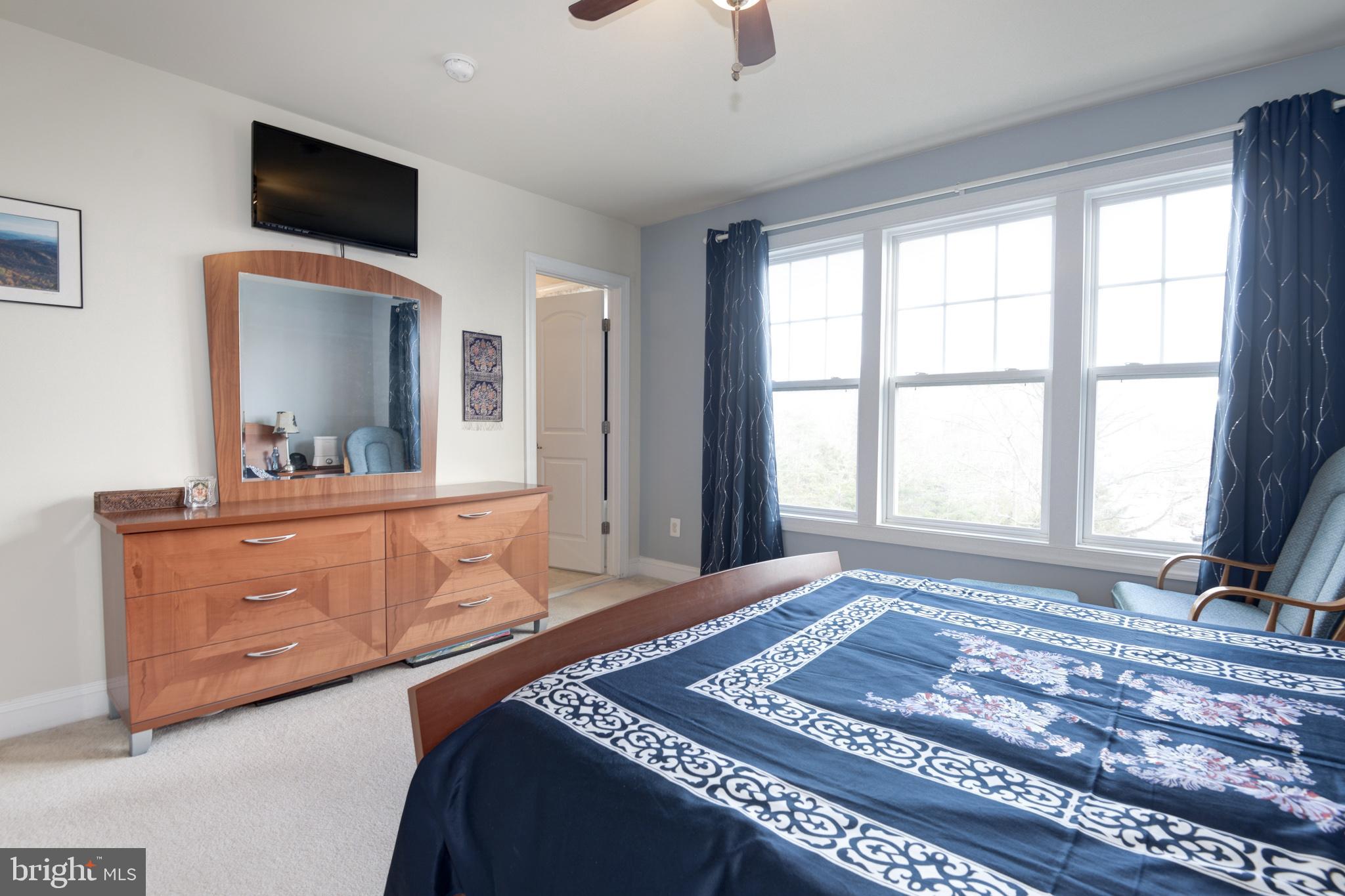 43406 Hopestone Terrace Chantilly, VA 20152 - Photo 14 of 29 Primary Bedroom