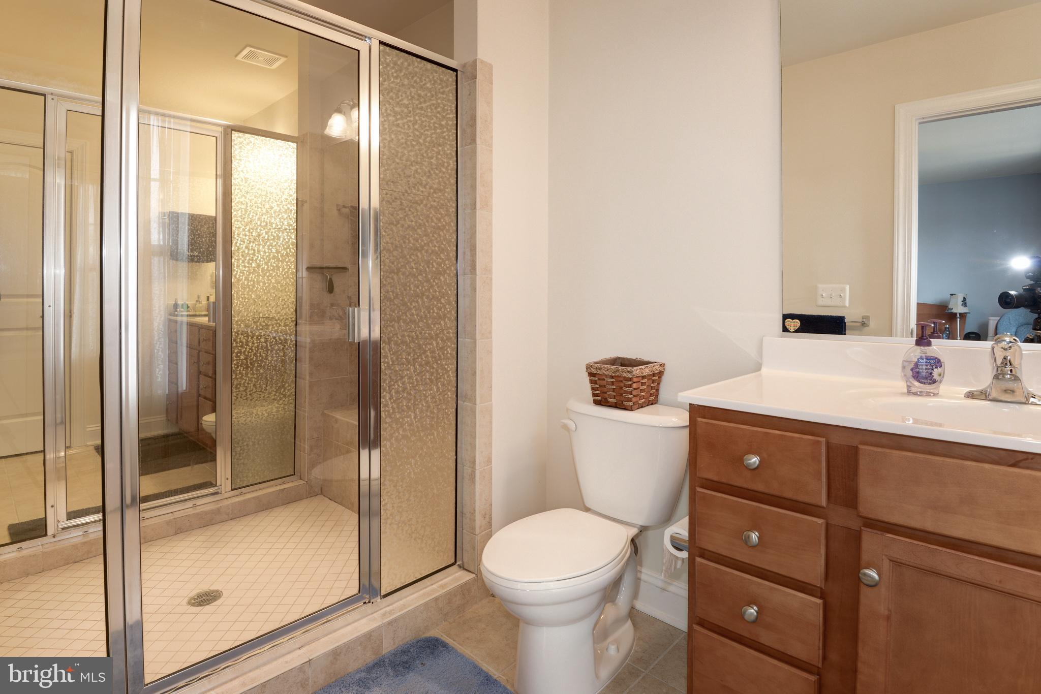 43406 Hopestone Terrace Chantilly, VA 20152 - Photo 15 of 29 Primary Bathroom