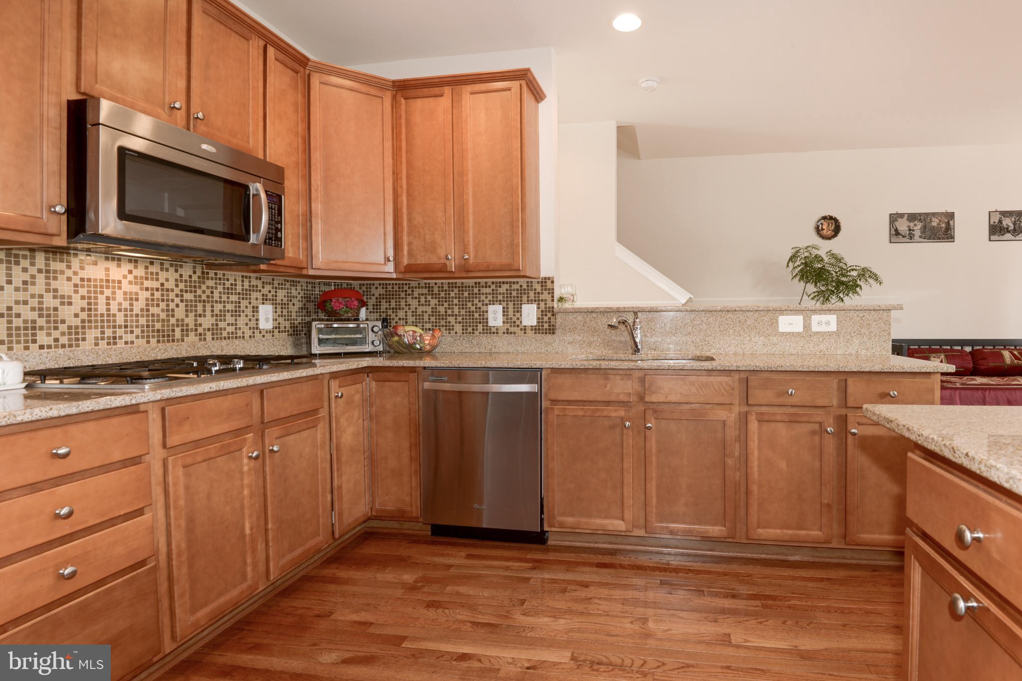 43406 Hopestone Terrace Chantilly, VA 20152 - Photo 3 of 29