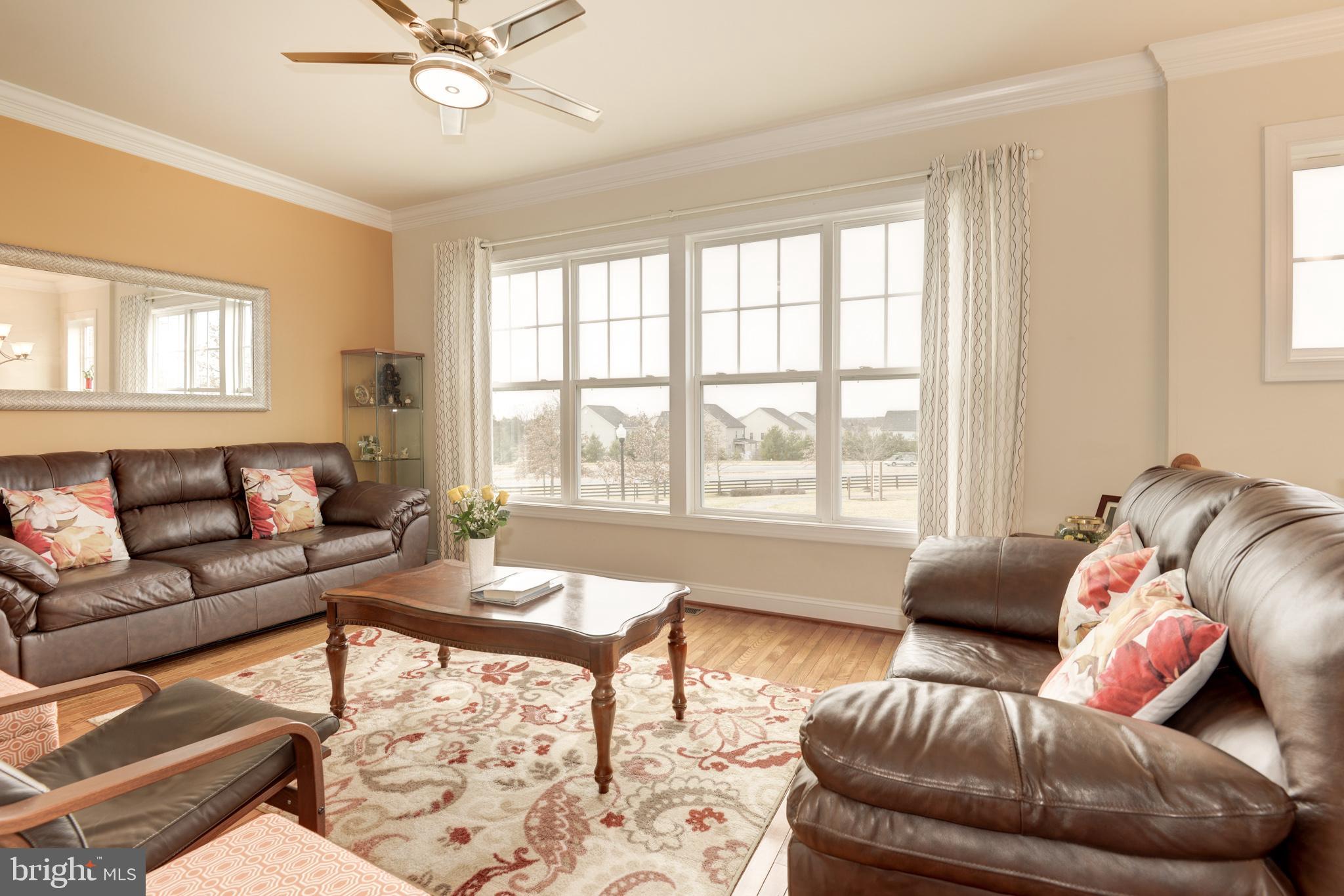 43406 Hopestone Terrace Chantilly, VA 20152 - Photo 7 of 29 Living Room