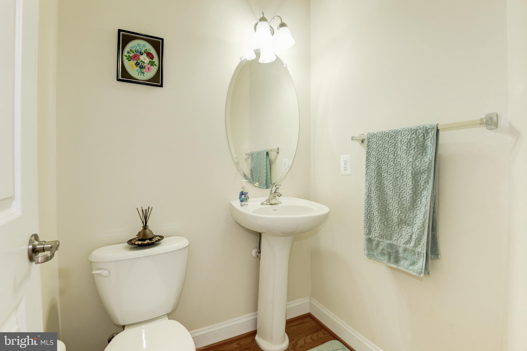 43406 Hopestone Terrace Chantilly, VA 20152 - Photo 8 of 29 Main Level Powder Room