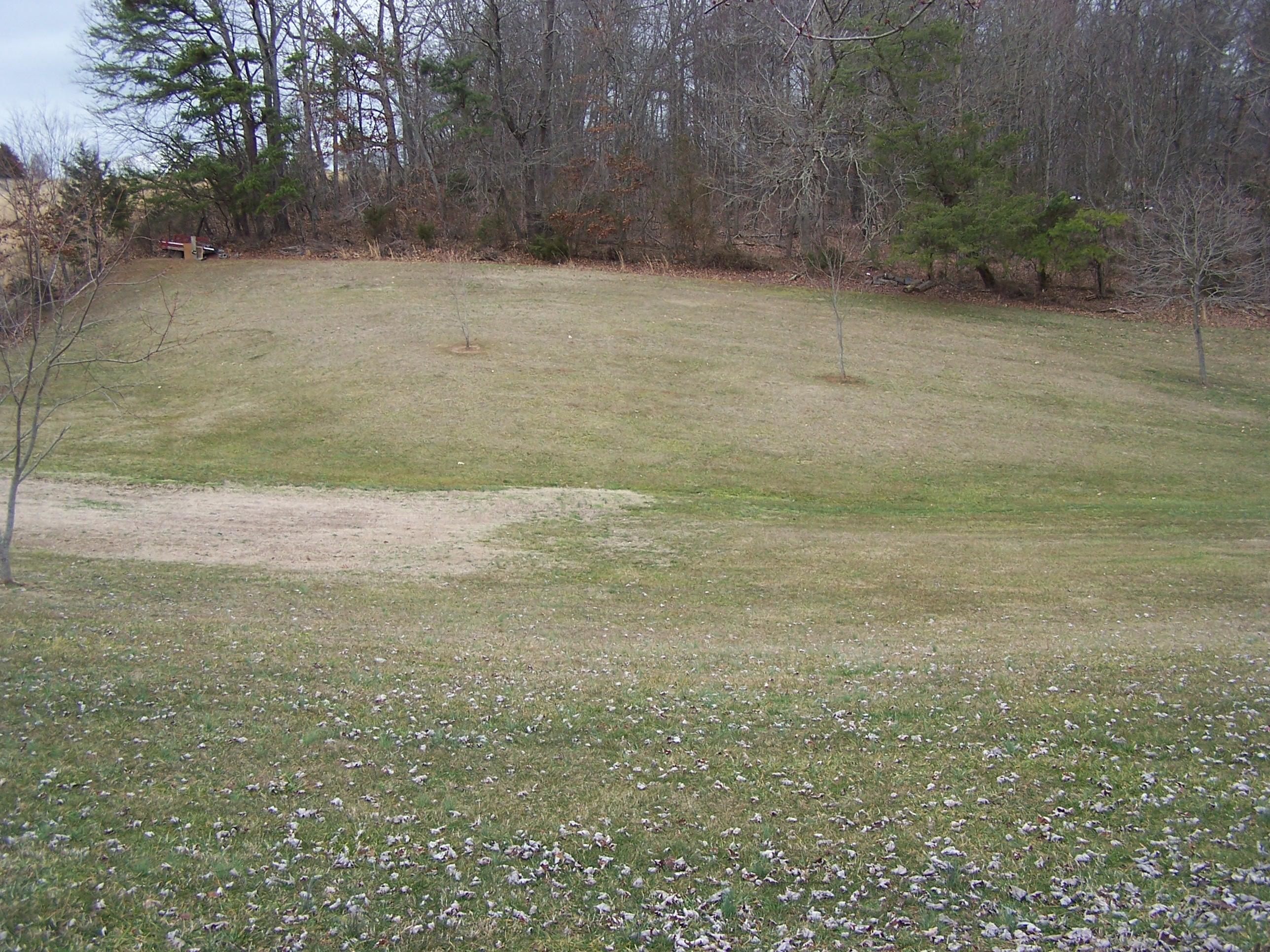 142 Elkins Road Rogersville, TN 37857 - Photo 8 of 39 100_4657