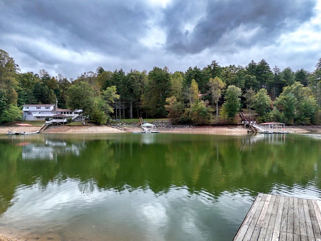 3739 Pat Colwell Road Blairsville, GA 30512 - Photo 45 of 55 a view of a lake with a yard