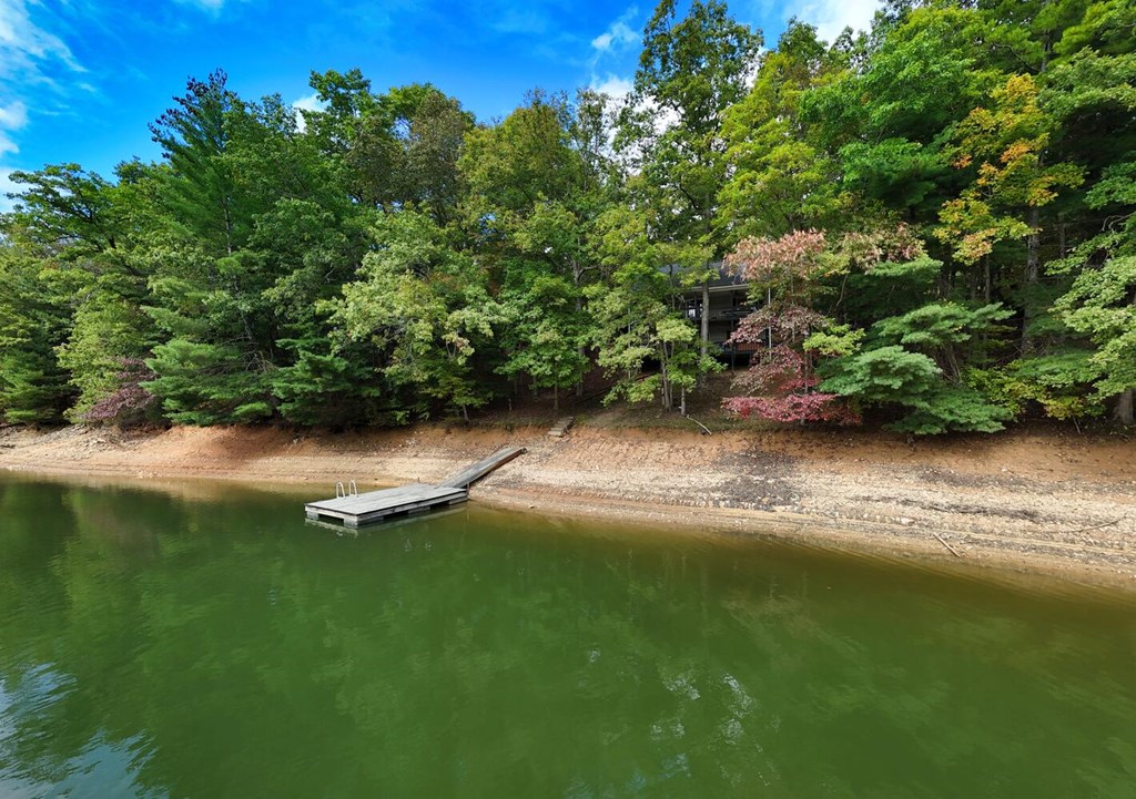 3739 Pat Colwell Road Blairsville, GA 30512 - Photo 48 of 55