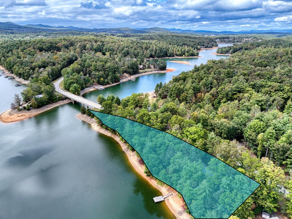 3739 Pat Colwell Road Blairsville, GA 30512 - Photo 55 of 55 a view of a city and lake