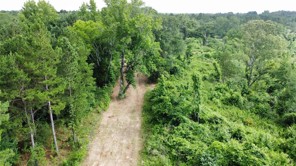 385 County Road 385 Tyler, TX 75708 - Photo 13 of 28