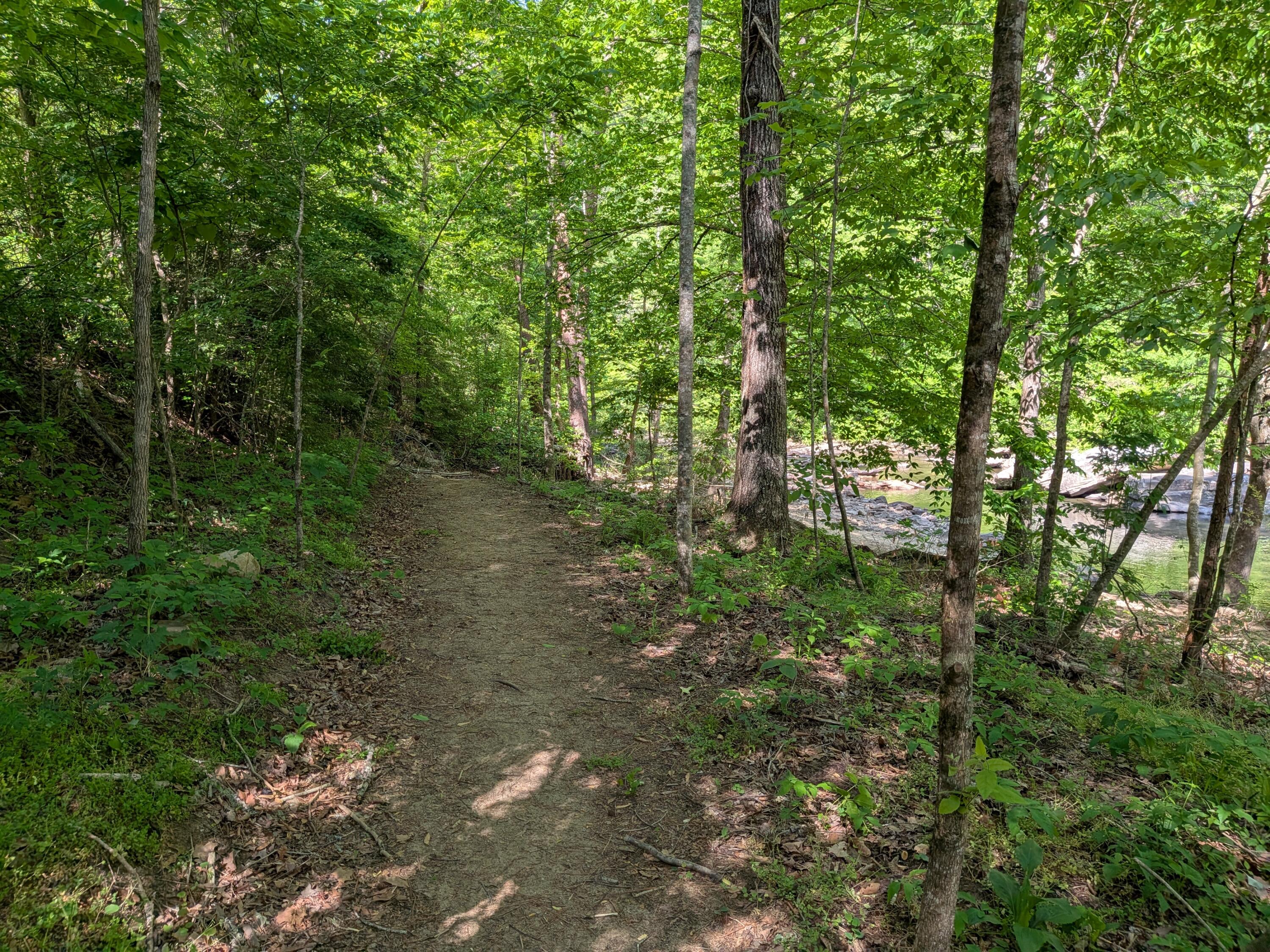 123 Hard Rector Lane Spring City, TN 37381 - Photo 37 of 39 PXL_20260427_205241655