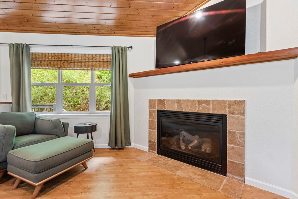 204 Hiawassee River Road Murphy, NC 28906 - Photo 41 of 79 a living room with furniture a flat screen tv and a fireplace