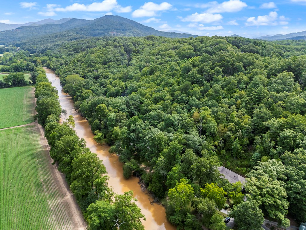 204 Hiawassee River Road Murphy, NC 28906 - Photo 74 of 79 a view of a yard with a garden