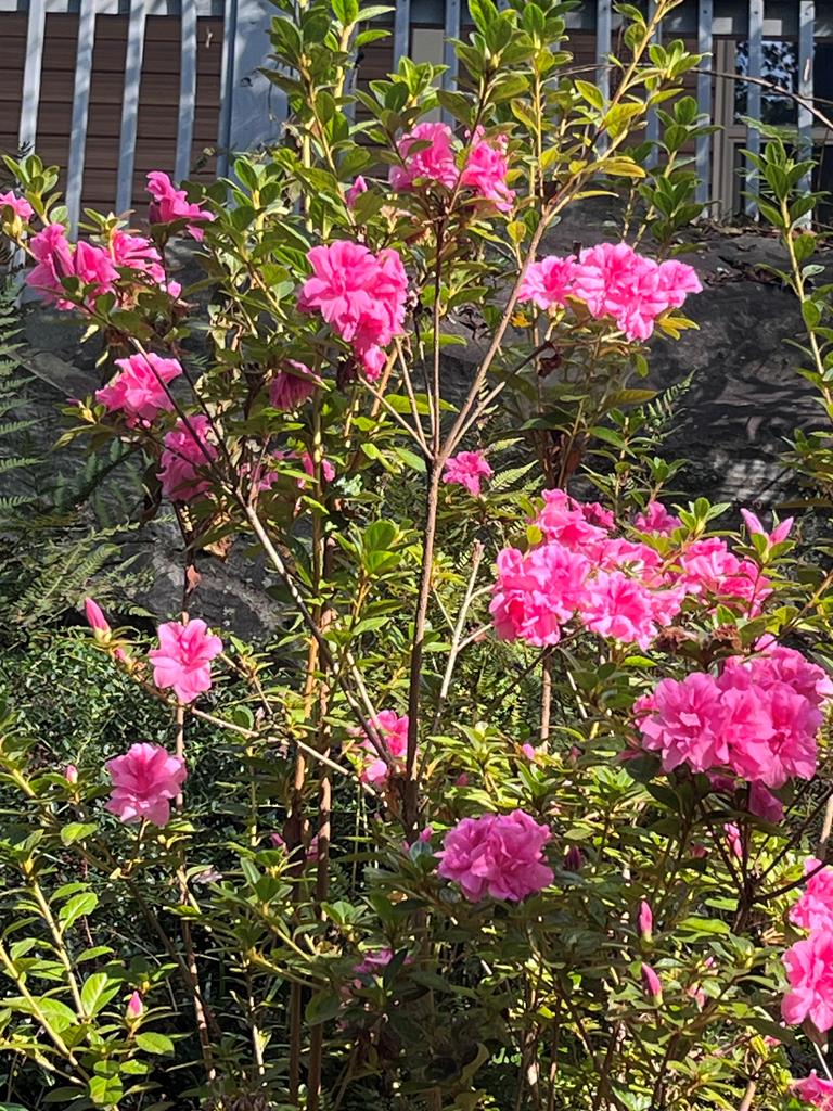 204 Hiawassee River Road Murphy, NC 28906 - Photo 79 of 79