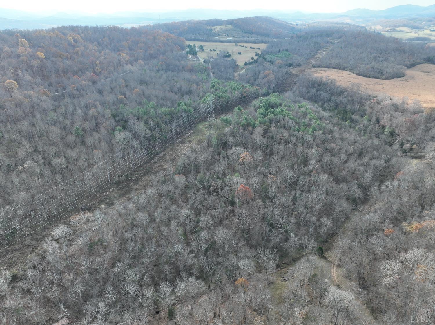 0 Major Graham Max Meadows, VA 24360 - Photo 3 of 6 a view of a dry yard