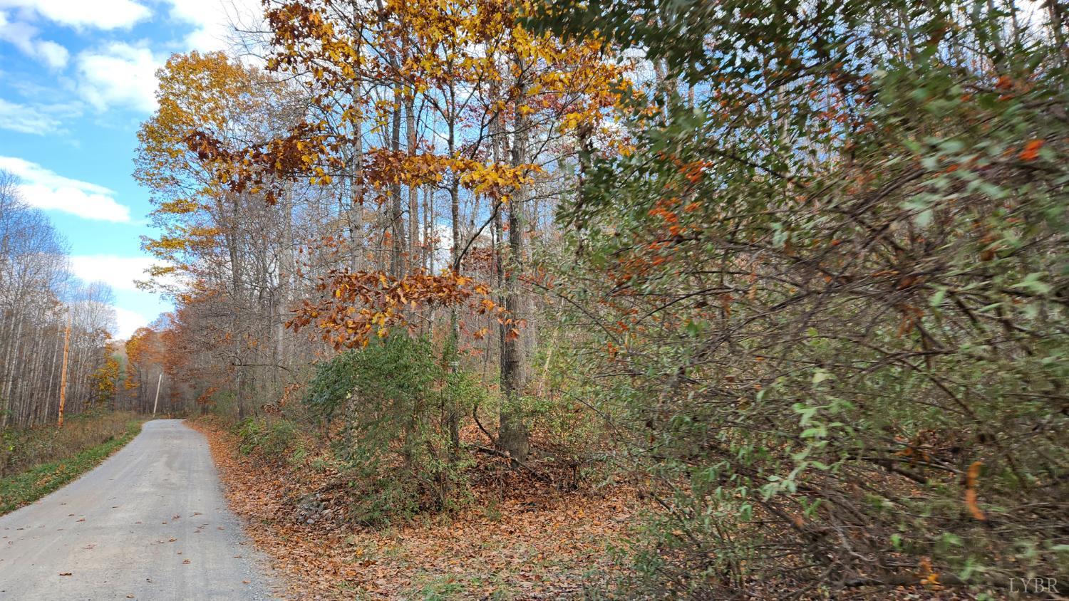 0 Major Graham Max Meadows, VA 24360 - Photo 5 of 6 a backyard of a house with lots of green space