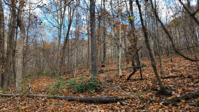 $119,900 | 0 Major Graham, Max Meadows, VA 24360