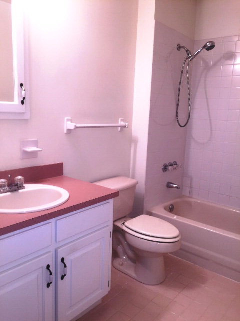 10063 Willis Road Foley, AL 36535 - Photo 5 of 5 Master Bath