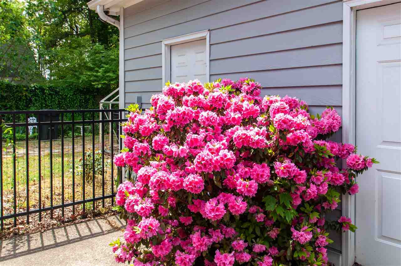 6201 Wyckhurst Court Raleigh, NC 27609 - Photo 26 of 30 Landscaping