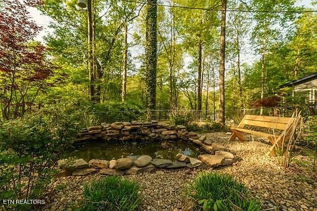 751 Ridge Road Gatlinburg, TN 37738 - Photo 28 of 59 751 RR Main Pond