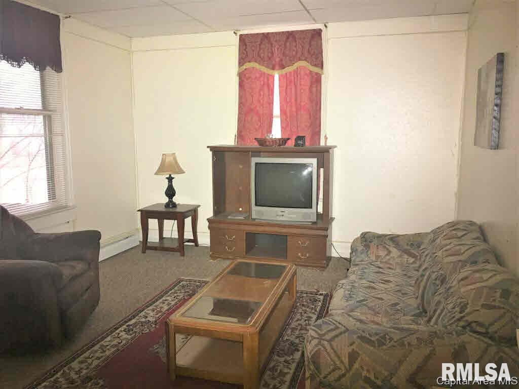 1159 North 3rd Street Springfield, IL 62702 - Photo 3 of 5
