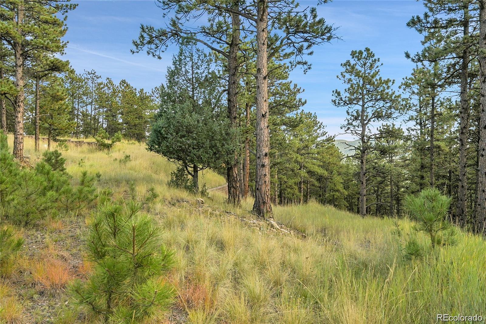 2317 Wieler Road Evergreen, CO 80439 - Photo 8 of 26 Gallery Image 8
