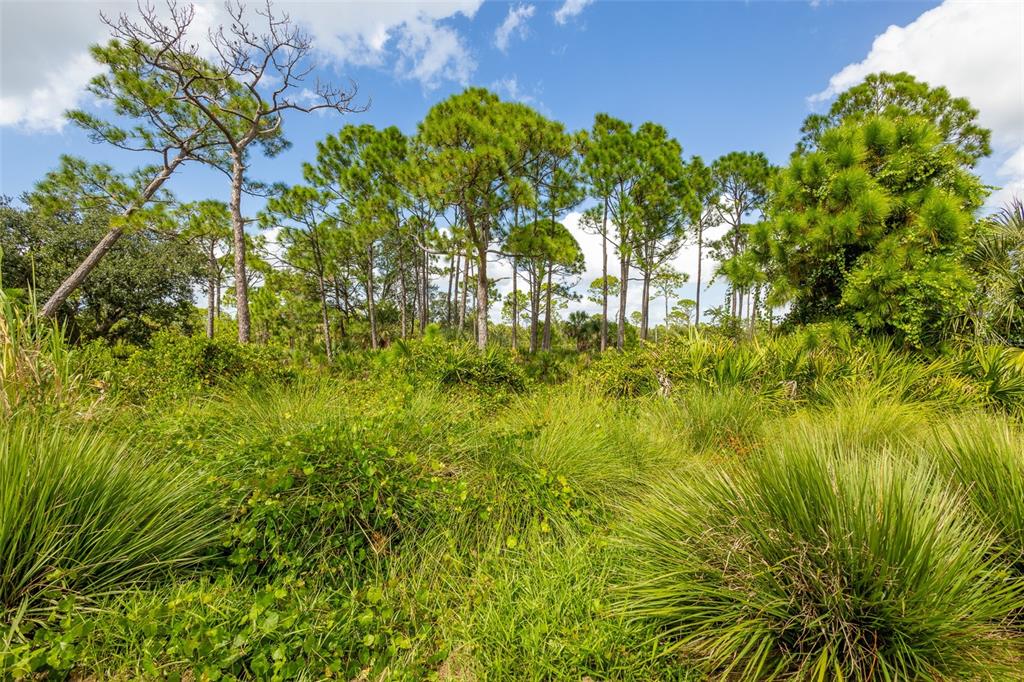 5604 Blue Reef Place Nokomis, FL 34275 - Photo 12 of 45 a view of a garden