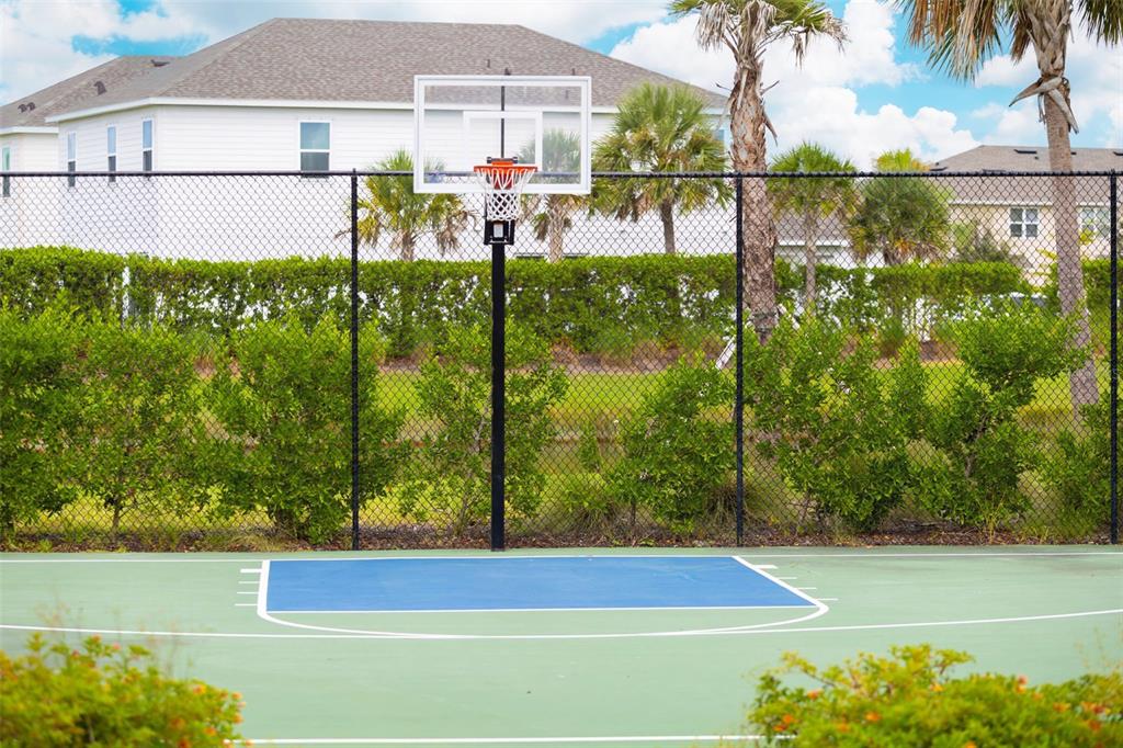 5604 Blue Reef Place Nokomis, FL 34275 - Photo 38 of 45 a view of a backyard