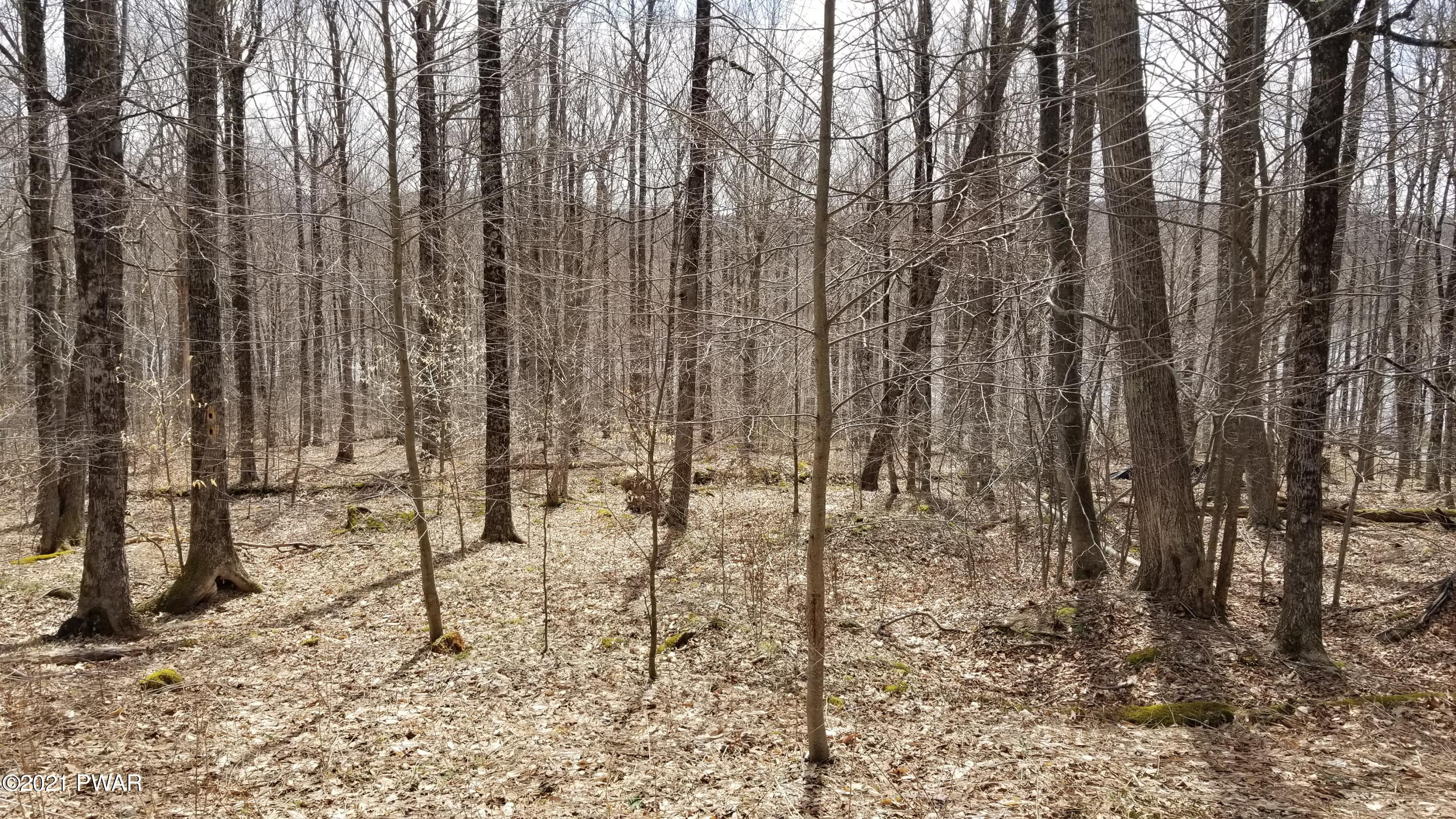 72 Old Woods Road Equinunk, PA 18417 - Photo 2 of 4