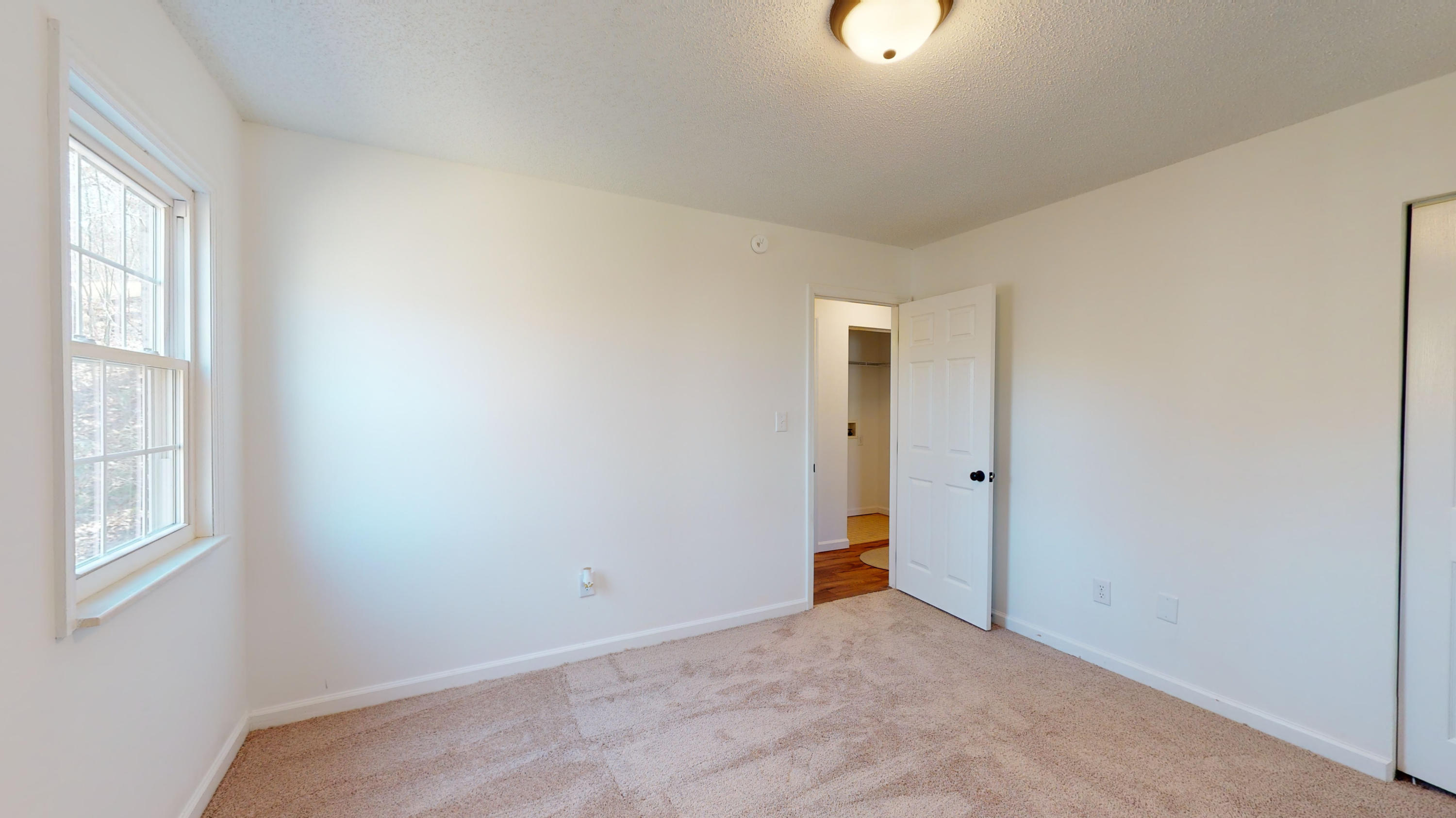 456 Sugar Hollow Road La Follette, TN 37766 - Photo 16 of 20 456-Sugar-Hollow-Road-03042021_181452