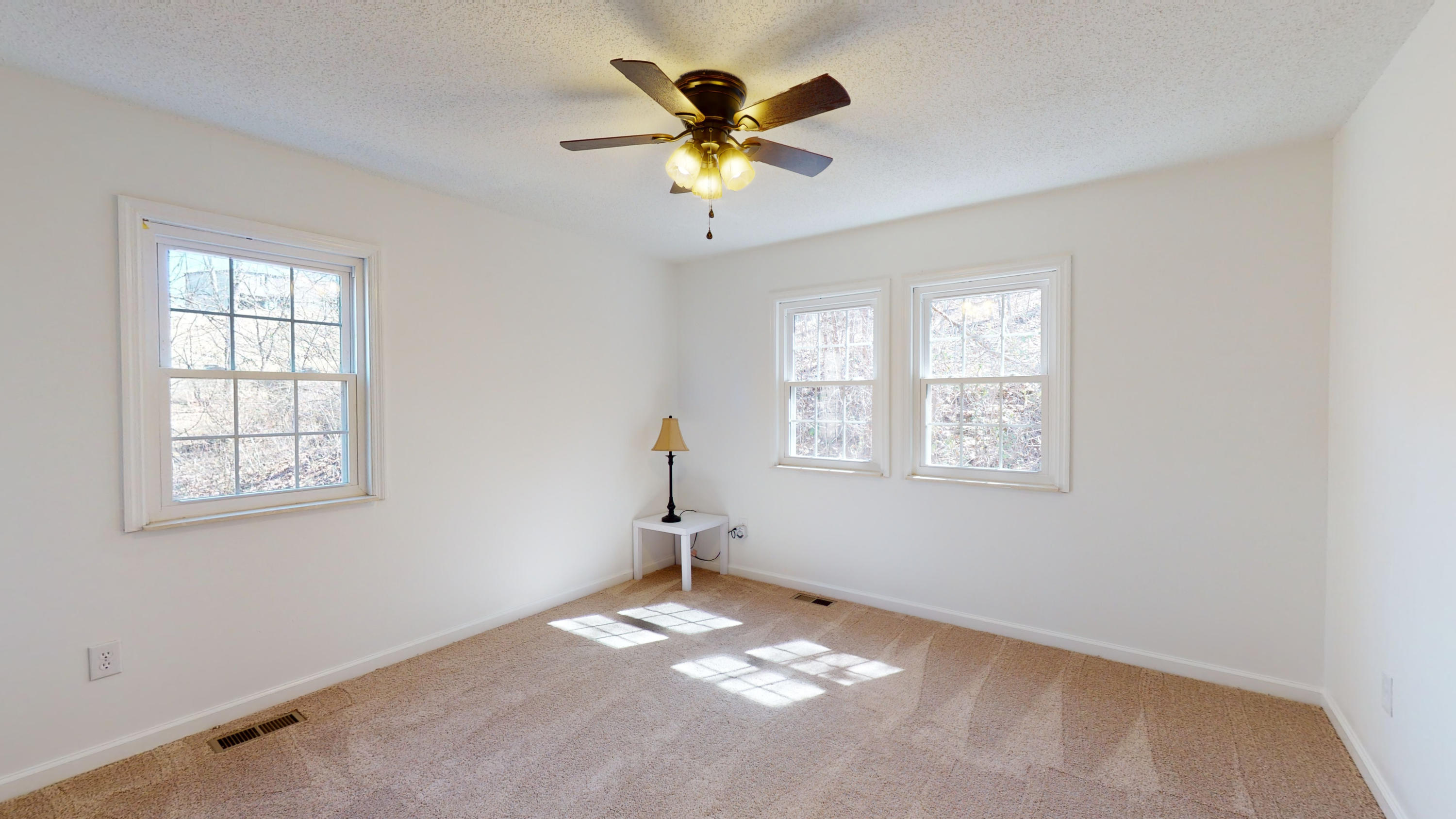 456 Sugar Hollow Road La Follette, TN 37766 - Photo 17 of 20 456-Sugar-Hollow-Road-03042021_182123