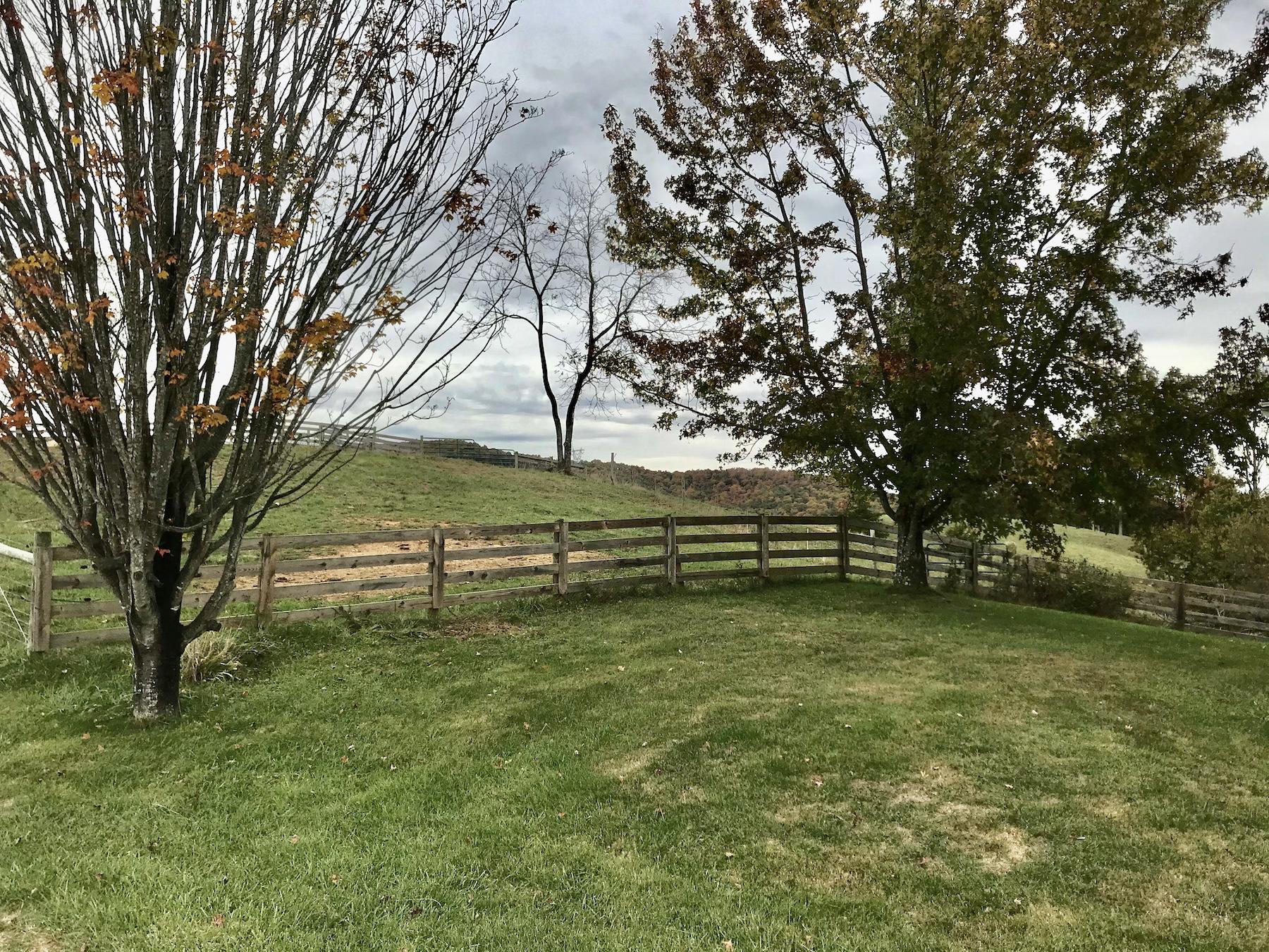 1145 Horse Ridge Road Northwest Willis, VA 24380 - Photo 20 of 29 a backyard of a house with lots of green space