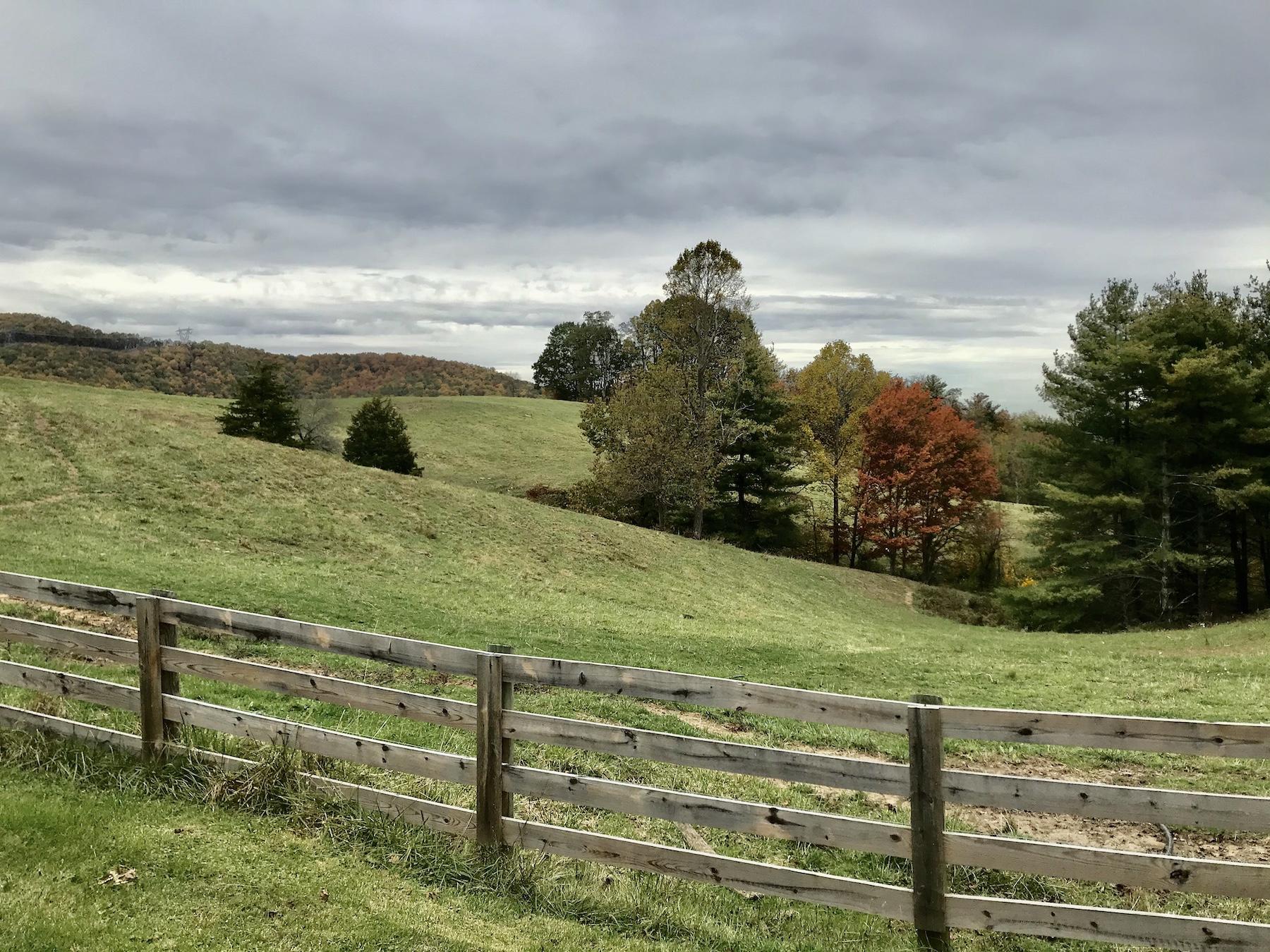 1145 Horse Ridge Road Northwest Willis, VA 24380 - Photo 2 of 29 a view of a yard with an ocean beach
