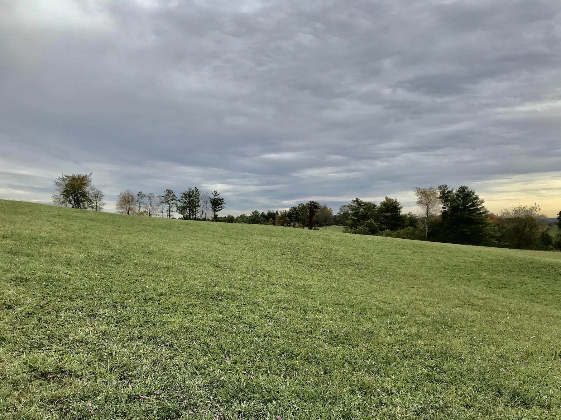 1145 Horse Ridge Road Northwest Willis, VA 24380 - Photo 4 of 29 a view of field with ocean