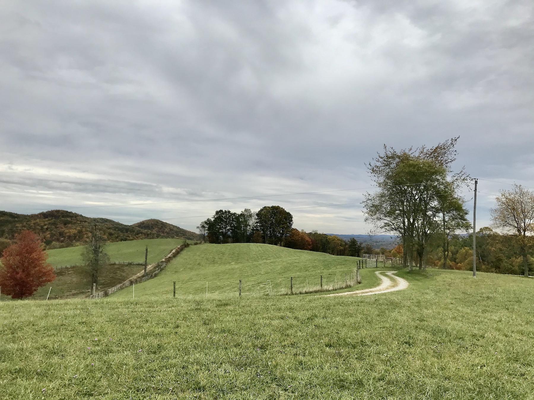 1145 Horse Ridge Road Northwest Willis, VA 24380 - Photo 5 of 29 a view of a field with an ocean