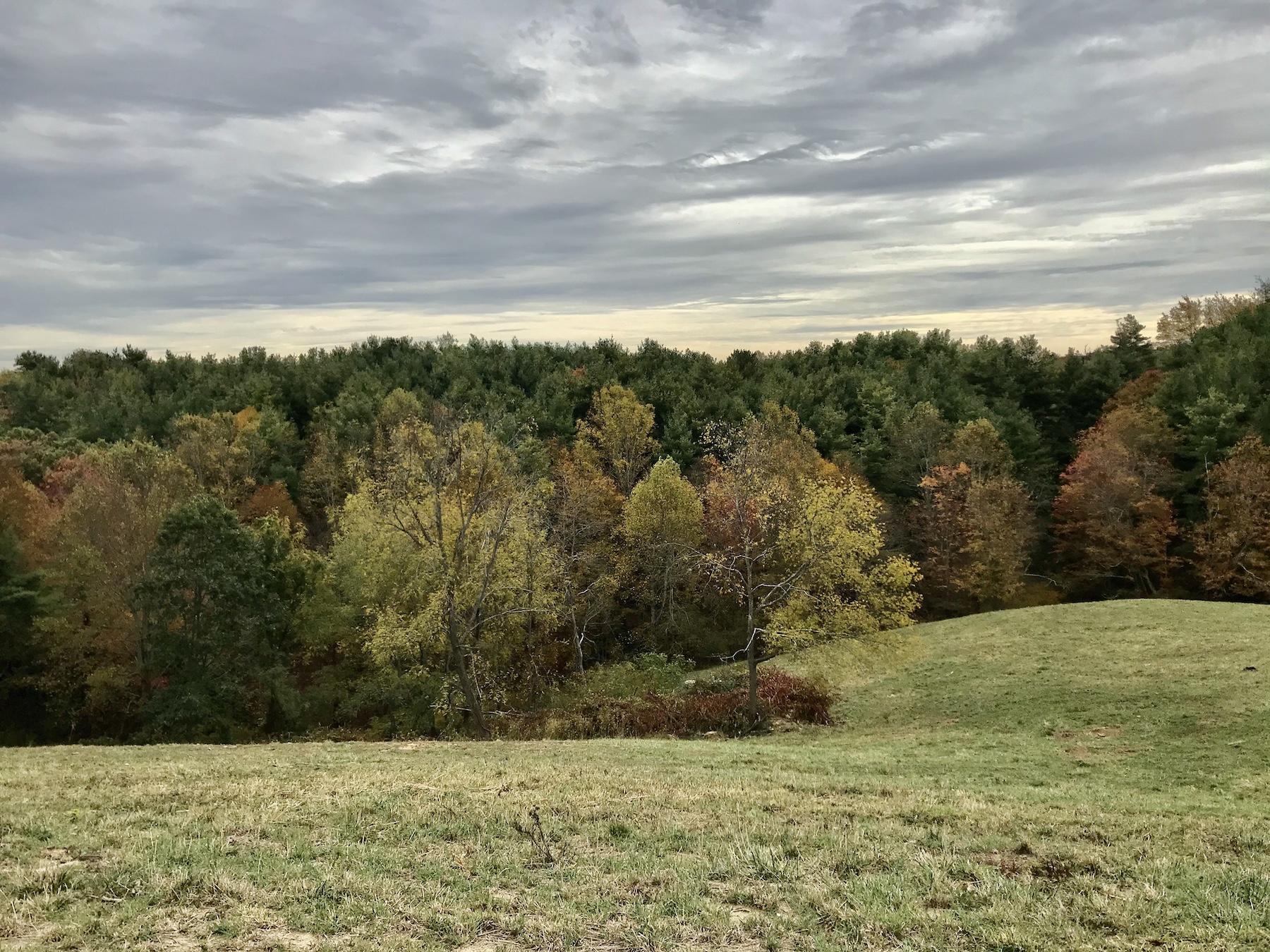1145 Horse Ridge Road Northwest Willis, VA 24380 - Photo 10 of 29